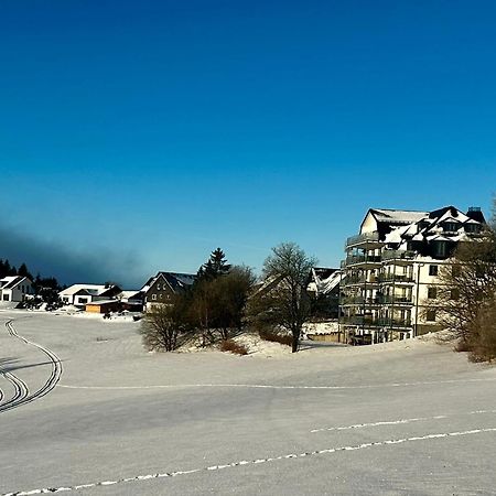 Astenblick Apartments Winterberg With Sauna Ngoại thất bức ảnh