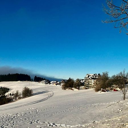 Astenblick Apartments Winterberg With Sauna Ngoại thất bức ảnh